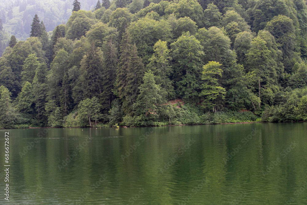 Karagöl in the Şavşat district of Artvin. Savsat Karagol lake is a large trout lake in the forest in Artvin. Turkey's tourist attractions