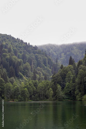 Karagöl in the Şavşat district of Artvin. Savsat Karagol lake is a large trout lake in the forest in Artvin. Turkey's tourist attractions