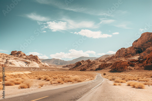 Long straight road through the desert with bushes growing on both sides of the road