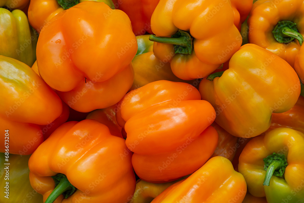 Juicy orange sweet peppers have just been picked and lie on the table as a background. Juicy orange sweet peppers have just been picked and lie on the table as a background.