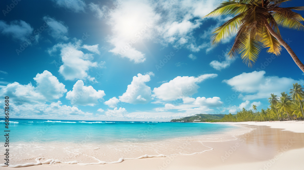 panorama of a tropical beach with palm trees