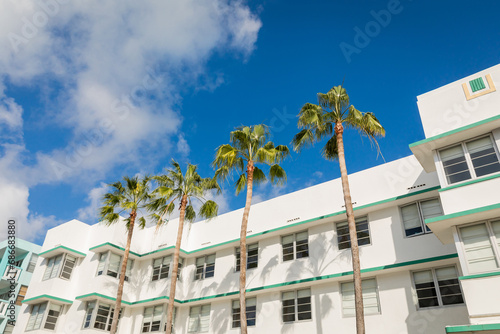 green palm trees growing near modern building against blue sky in Miami © LIGHTFIELD STUDIOS