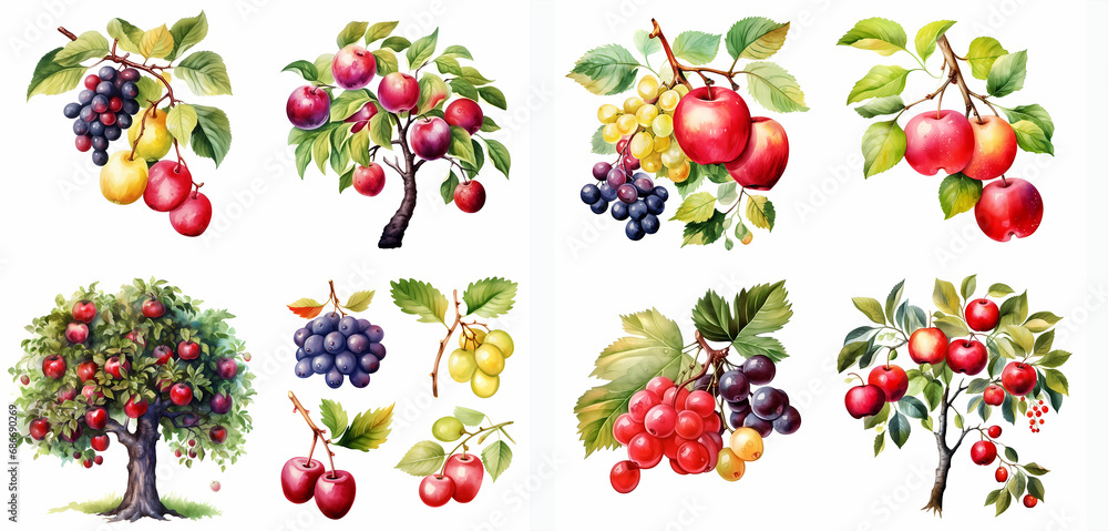 Apple tree and fruits clipart set isolated on a white background. set