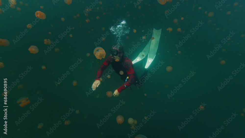 Freediver swims in the lake full of stingless jellyfish and films with action camera. West Papua, Misool, Indonesia Freediver swims in the lake full of stingless jellyfish and films with action camera. West Papua, Misool, Indonesia