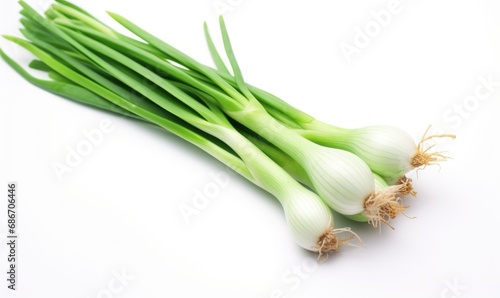 Fresh spring onions isolated on a white background. 