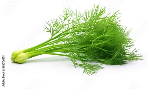 Fresh dill isolated on white background. Clipping path included.