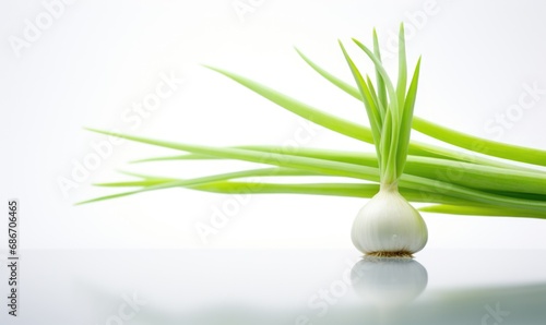 Fresh spring onions isolated on a white background. 
