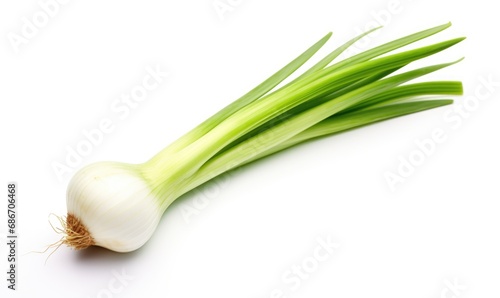 Fresh spring onions isolated on a white background. 