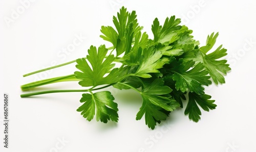 parsley isolated on white background, fresh parsley close up