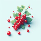 branch of red currant isolated white