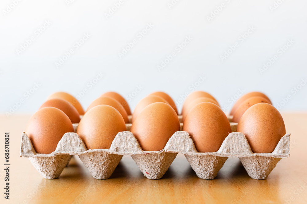 Eggs in a gray container, holding afresh organic egg Eggs in a gray container, holding afresh organic egg