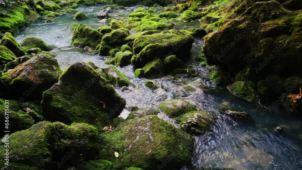 Forest creek flowing among stones covered by green moss filmed in slow motion at autumn day. Landscape of small cascade in woodland of Mingrelia region in Georgia. Trekking during weekend theme Forest creek flowing among stones covered by green moss filmed in slow motion at autumn day. Landscape of small cascade in woodland of Mingrelia region in Georgia. Trekking during weekend theme