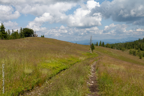 Fototapeta Naklejka Na Ścianę i Meble -  Krajobraz Beskidów ze szlaku na Baranią Górę