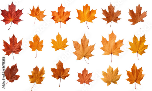 autumn leaves isolated on transparent background