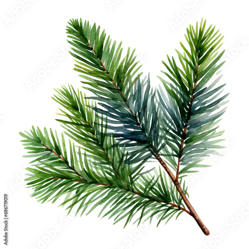 Tannenzweig Aquarell Grün Weihnachtsschmuck Natur Illustration Handgemalt Botanik Zweig Wandkunst Festliche Dekoration Geschenk