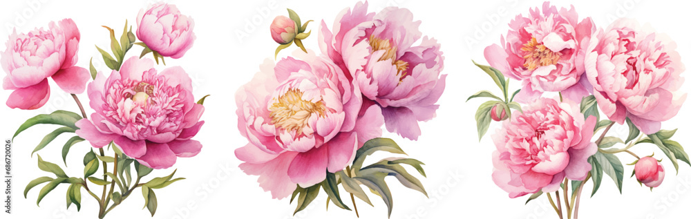 Watercolor pink peony large beautiful flowers print poster vector illustration wedding engagement design, generative AI Watercolor pink peony large beautiful flowers print poster vector illustration wedding engagement design, generative AI