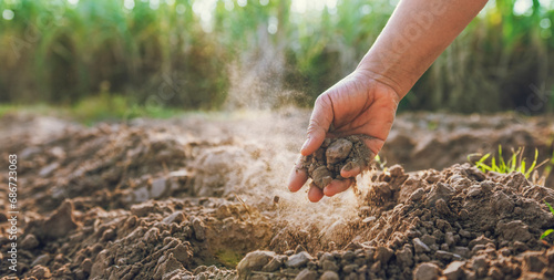 Farmer hands hold soil to check the quality of the soil in the field