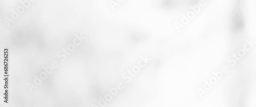 Vector Blur gray leaves with bokeh, abstract background, gray gradient, white Pastel background Used in a variety of design