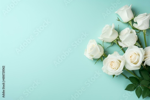 roses on monochrome background  minimalism  green background