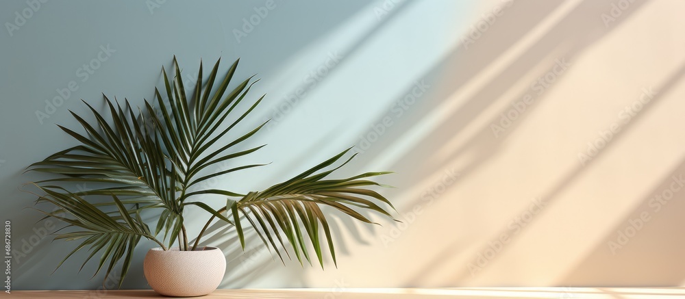 abstract background for product presentation, with Shadows from palm leaves, on a cream colored wall