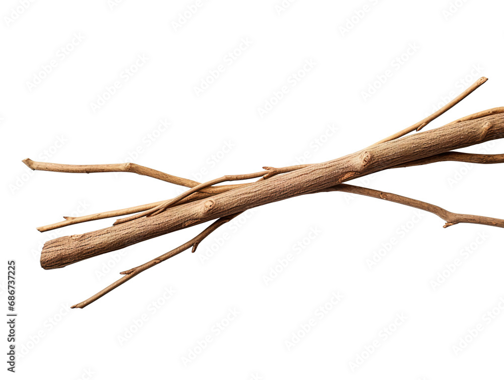 stack of Dry branches isolated on white background PNG stack of Dry branches isolated on white background PNG