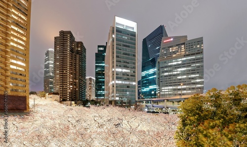 Night scenery of Roppongi Ark Hills in Tokyo downtown during sakura season, with a view of high rise skyscrapers & illuminated Japanese cherry blossoms ~ Beautiful urban skyline of Tokyo in springtime photo