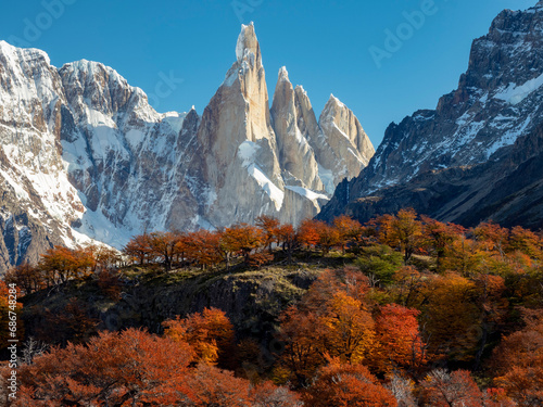 Views along the day hike to Laguna Torre peak with fall color of southern beech, or Nothofagus trees in Los Glaciares National Park; El Chalten, Argentina