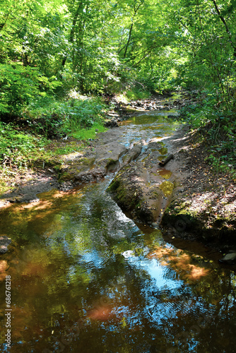 The clear water of a small forest stream flows over a clean rock in the shade of dense forest vegetation