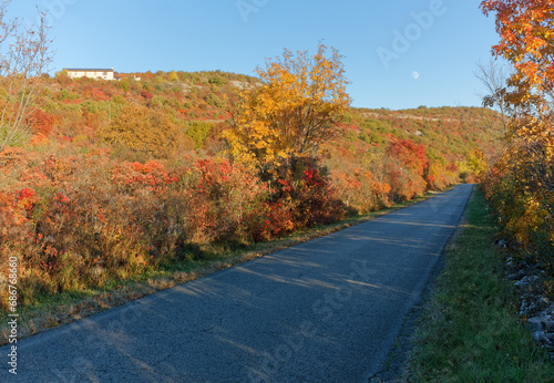 Autumn colors before sunset on a road on the Karst plateau in Gorizia province, Italy
