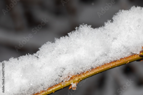 Captivating Winter Scene: Fresh Snow on Tree Branch with Blurry Grey Background