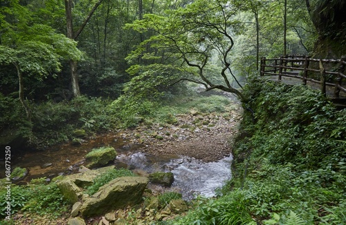 Papier peint Golden Whip Stream in Zhangjiajie National Forest Park, Hunan, China