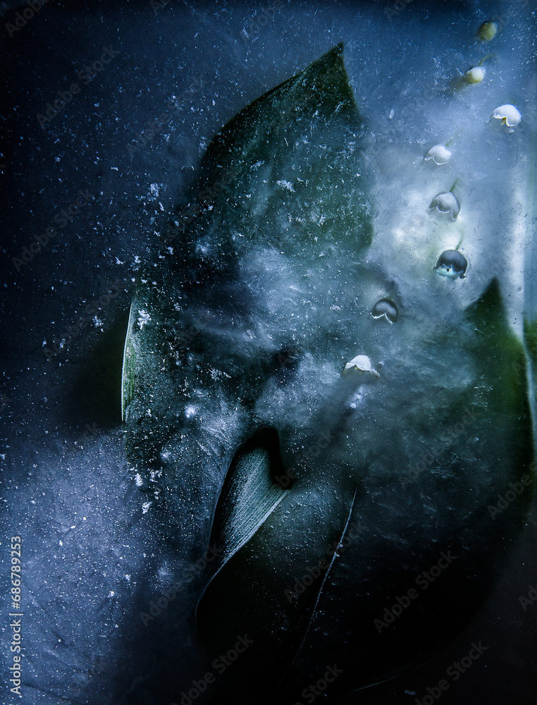 Frozen beautiful flower and lily of the valley leaf. Texture of ice. Abstract backlight.