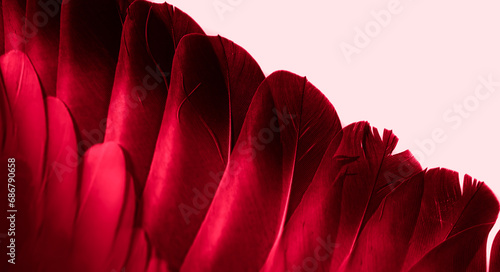 red feather pigeon macro photo. texture or background © Krzysztof Bubel