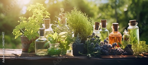 Herbal medicine displayed outdoors with tincture bottles healing herbs and wooden box of herbs Copy space image Place for adding text or design