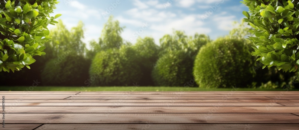 Isolated lawn wooden floor and hedge Copy space image Place for adding text or design Isolated lawn wooden floor and hedge Copy space image Place for adding text or design