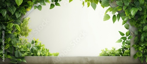 Green tree with white window surrounded by climbing plants Copy space image Place for adding text or design photo