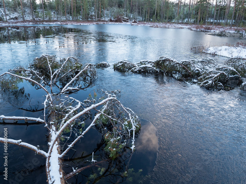 Fotografija Freezing forest lake and fallen trees
