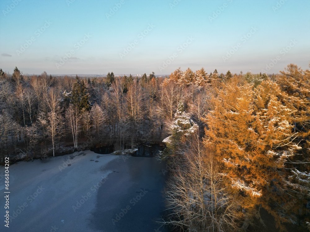frozen winter yellow fir - aerial shot.