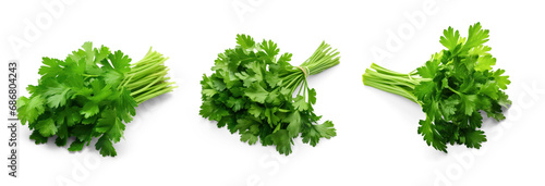 set of bunch of fresh green juicy parsley isolated on transparent background with soft translucent shadow photo
