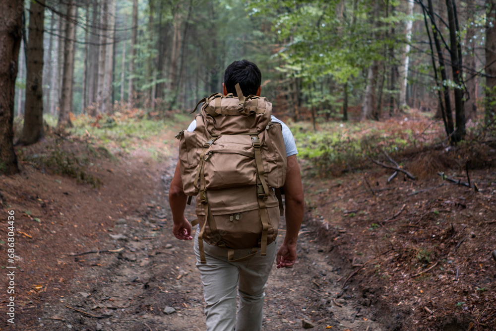 Bulgaria, Balkan Mountains, hiker with backpack on hiking trail, rear view