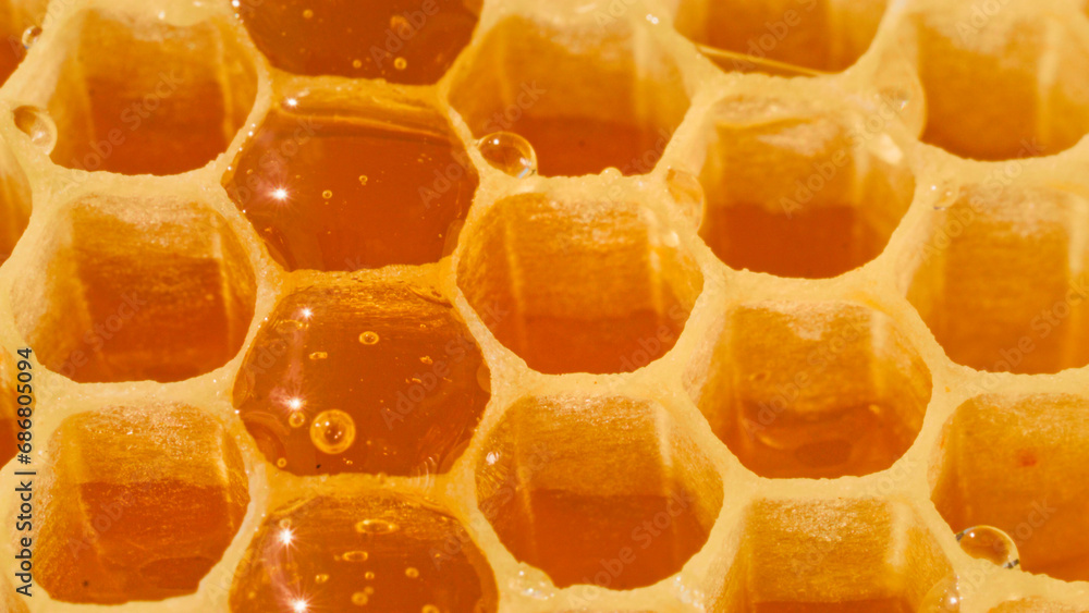 Extreme close-up shot of honeycombs filled with natural organic honey. Agricultural industry. Beekeeping concept. Macro video of honey in beehive. Beauty of nature. Extreme close-up shot of honeycombs filled with natural organic honey. Agricultural industry. Beekeeping concept. Macro video of honey in beehive. Beauty of nature.