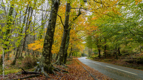 Autumn landscape at Geres National Park © Rui Vale de Sousa