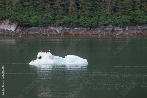 Strangley shaped growler (little iceberg) floating in College Fjord in Alaska, USA photo