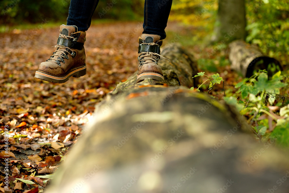 Low section of a woman balancing in a forest on a tree trunk in autumn Low section of a woman balancing in a forest on a tree trunk in autumn
