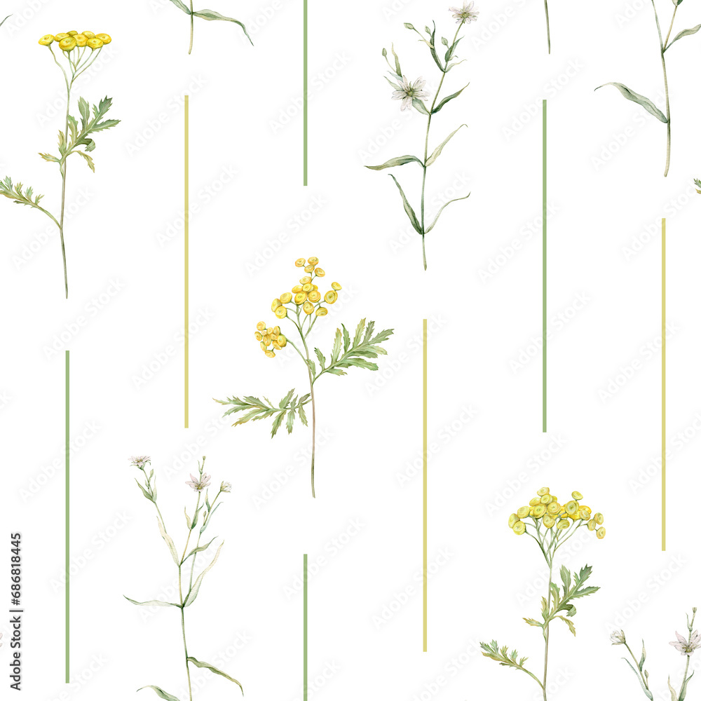 Seamless pattern watercolor common tansy. Yellow field flower. Hand drawn illustration isolated background. Wallpaper with botanical wildflowers striped