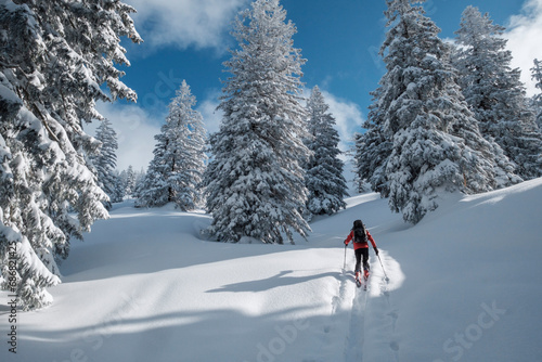 Senior man during ski tour, Inzell, Kienberg, Germany © tunedin