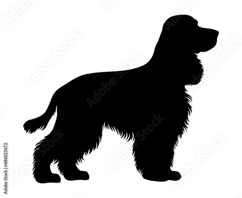 Cocker spaniel Dog silhouette. Vector illustration