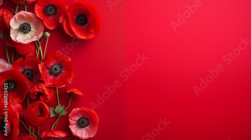 A random spread of poppies on a soft red surface, Valentine’s Day, delicate flowers, top view, with copy space