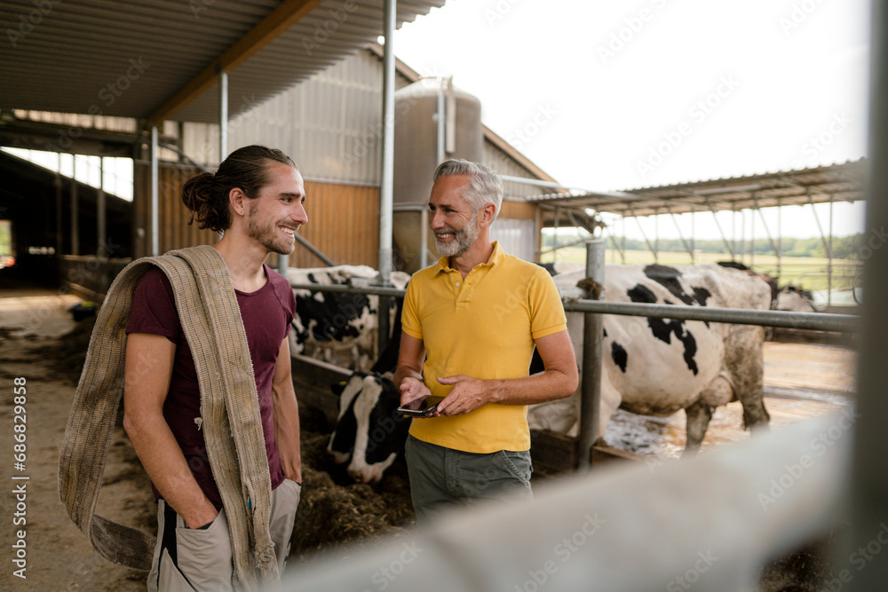 Smiling mature farmer with smartphone and adult son at cow house on a farm