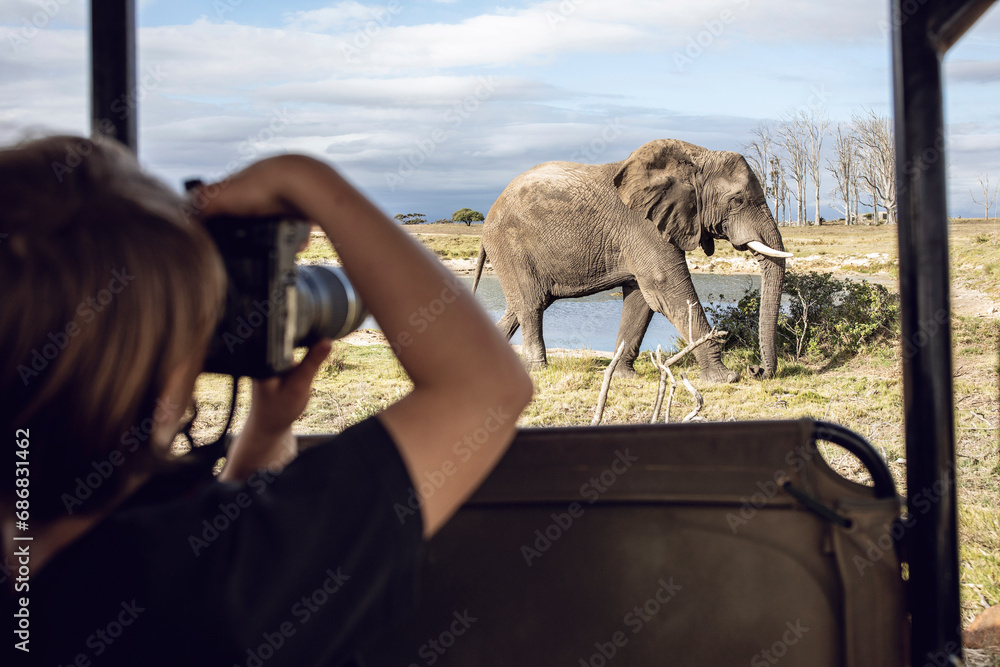 Back view of girl taking photo of an elephant, Inverdoorn game Reserve, Breede River DC, South Africa